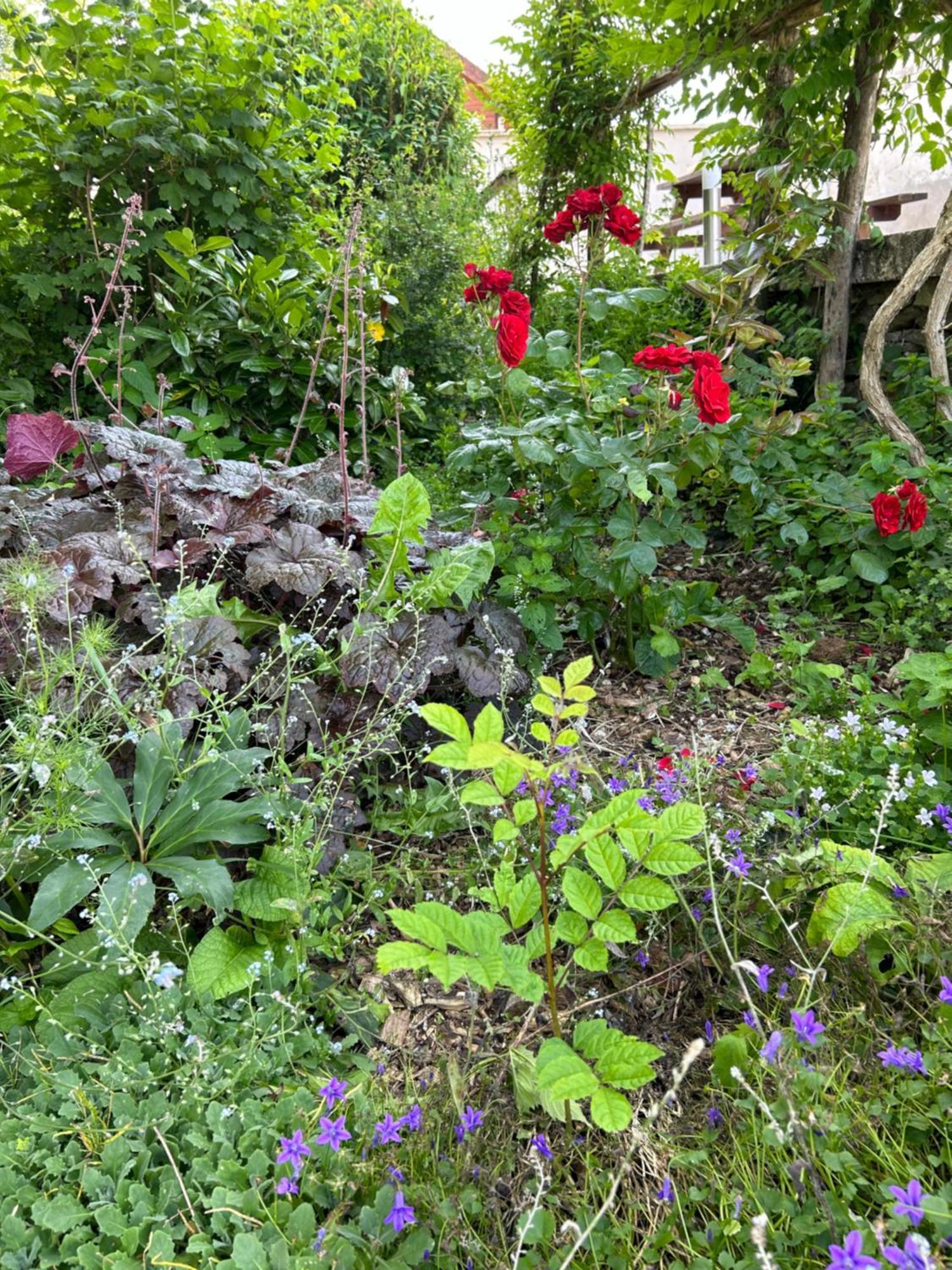 Pivoine Chambre D Hotes Fralignes Buitenkant foto