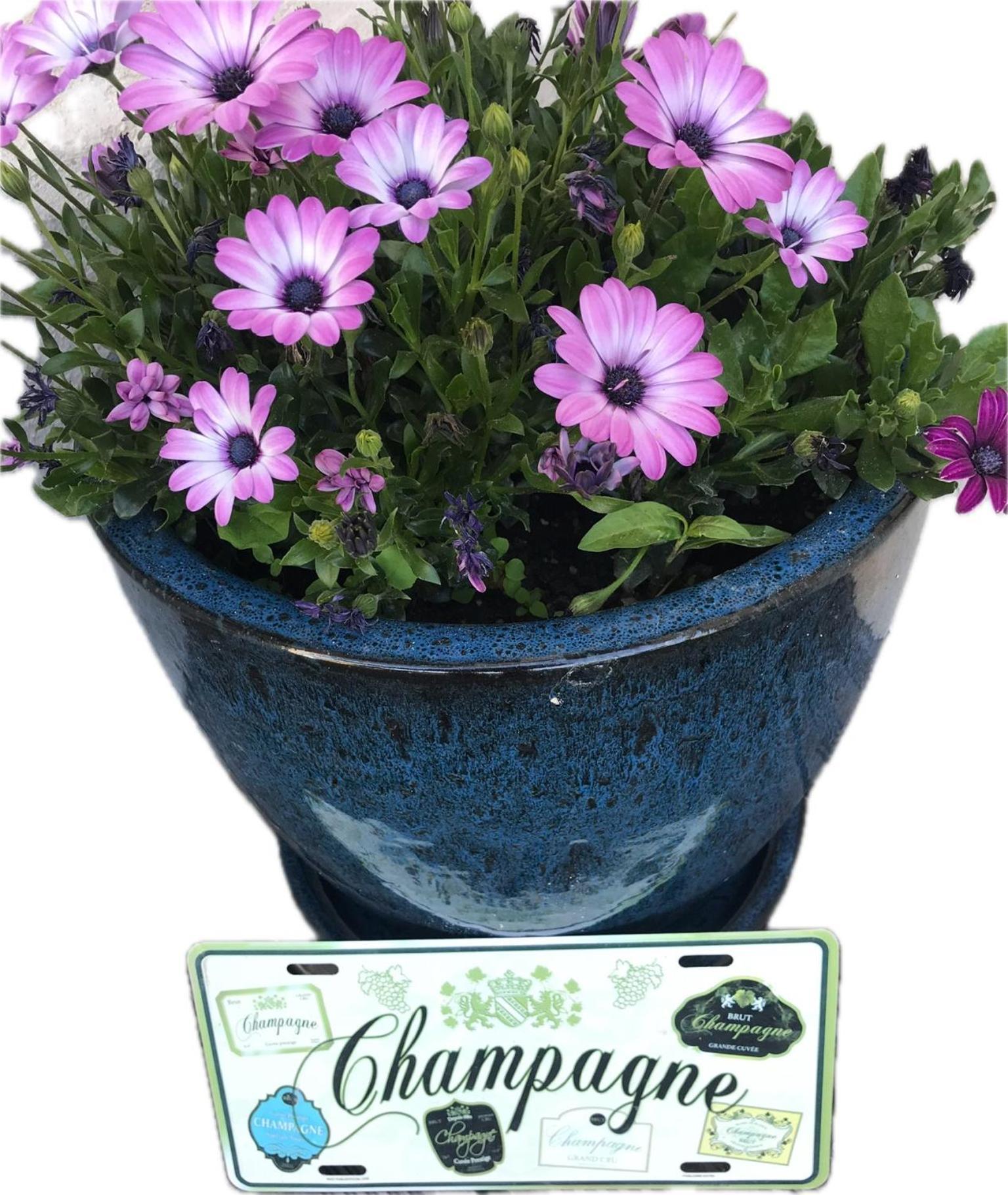 Pivoine Chambre D Hotes Fralignes Buitenkant foto
